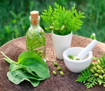 زيت القسط الهندي 30 مل