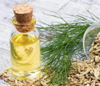زيت الشمر 30 مل