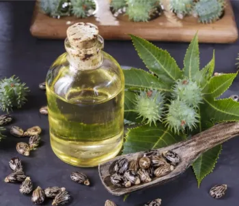 زيت الخروع 30 مل