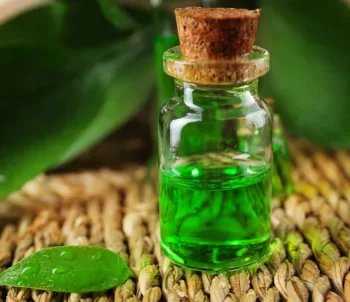 زيت الشاي الاخضر 30 مل